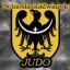 Dolnośląski Związek Judo
